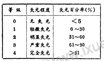 涂层失光